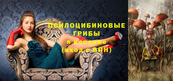 Альфа ПВП Медвежьегорск