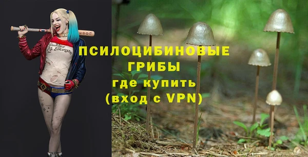 соль курить ск Надым