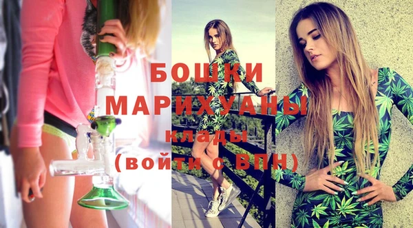 шишки Наволоки